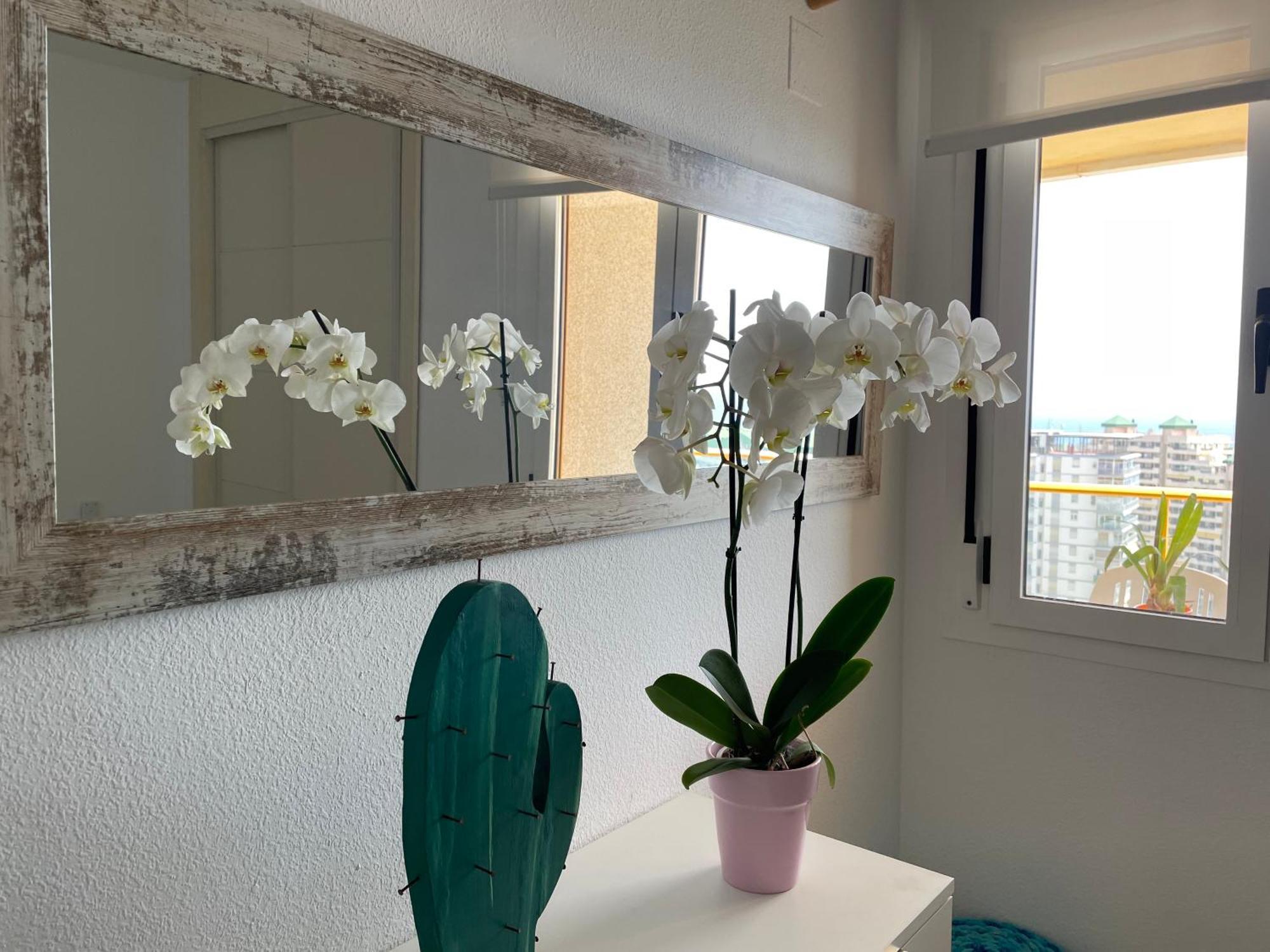 Apto One More Day In Ambar Calpe Luaran gambar